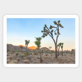 Joshua Trees Morning Sticker